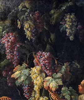 Руопполо Джованни Баттиста. Грозди винограда вокруг ствола дерева